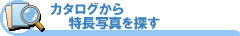 カタログから特長写真をさがす