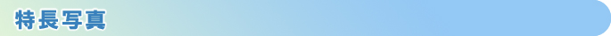 特長写真